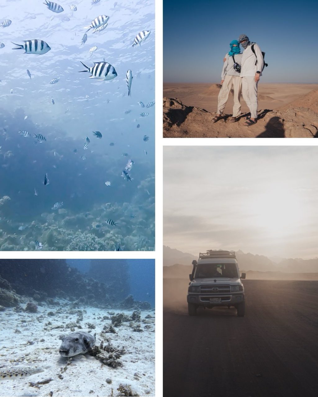 Instagram post from marcus_buchberger. This post is in position 2.