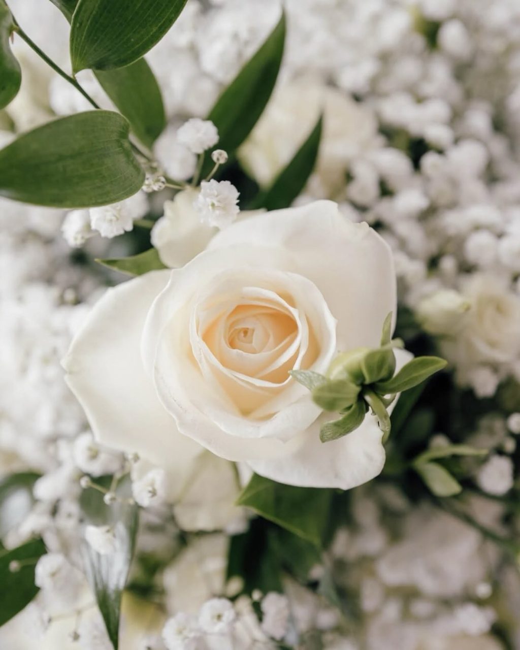 Instagram post from marcus_buchberger. This post is in position 0.